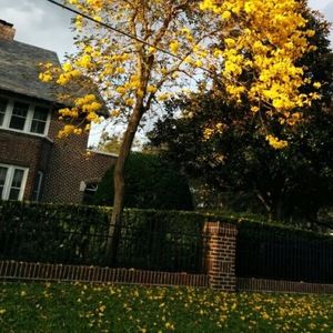 Meet your Posher, Quynh-dao